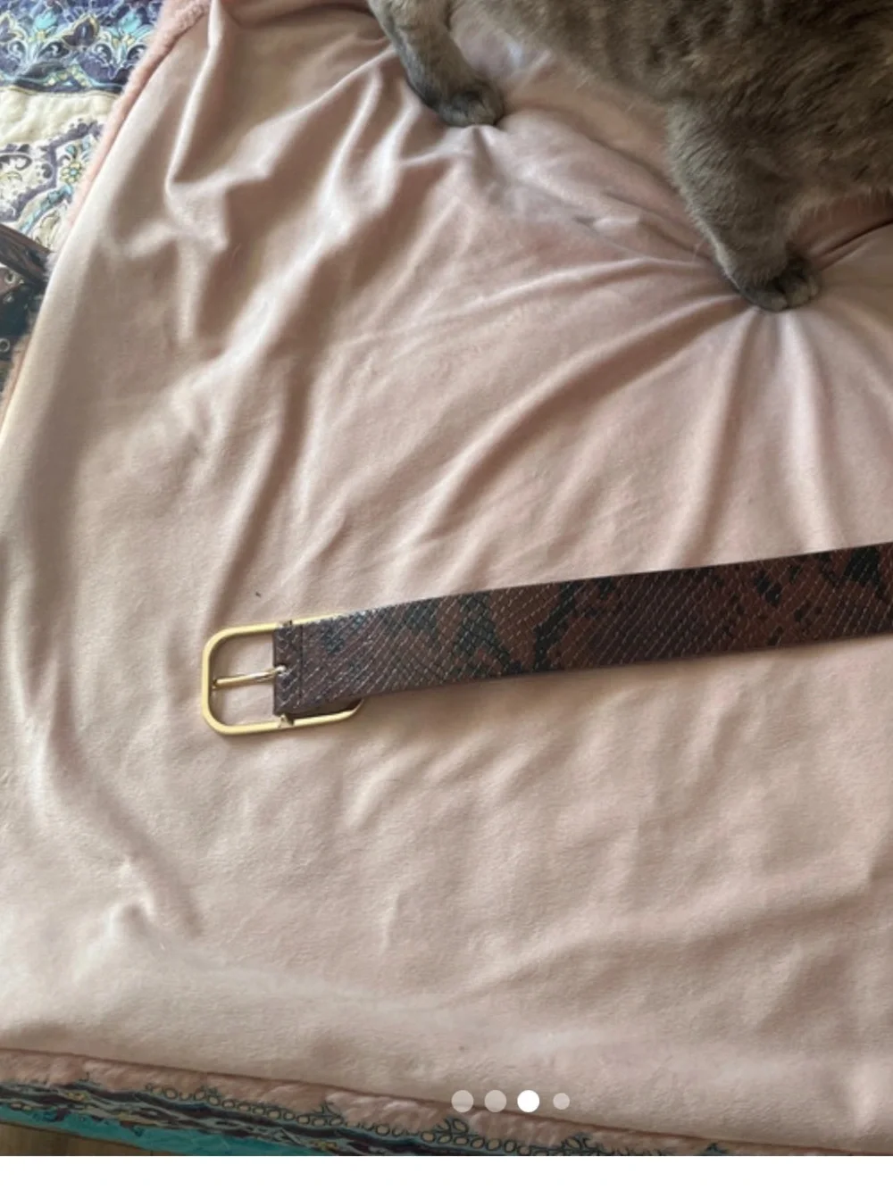 Ann Taylor belt